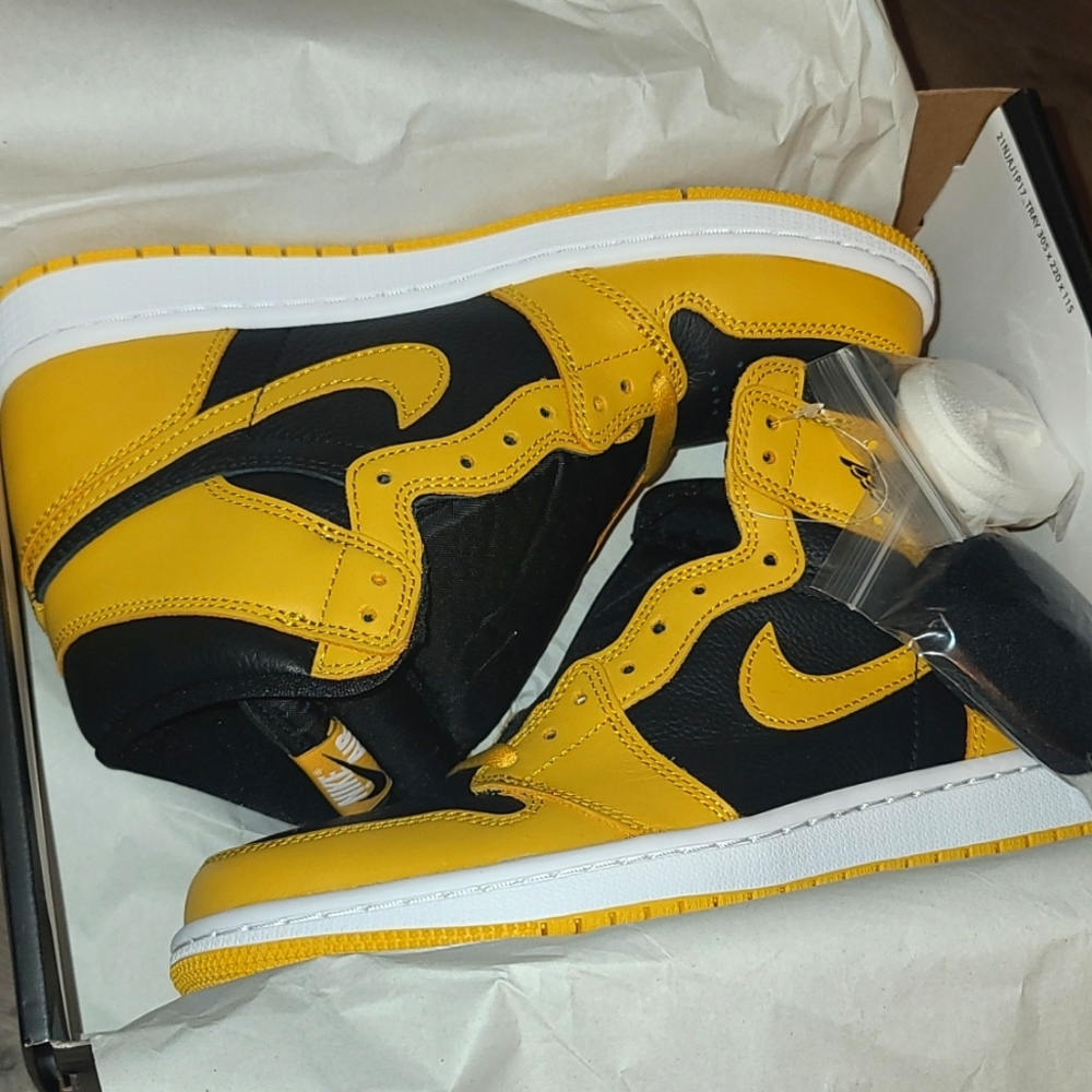 BRAND NEW Air Jordan 1 "POLLEN"